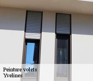 Peinture volets