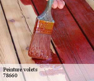 Peinture volets