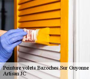 Peinture volets