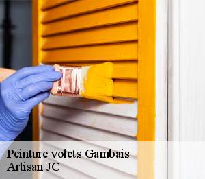 Peinture volets