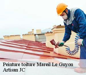 Peinture toiture