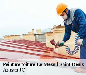 Peinture toiture