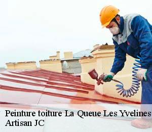 Peinture toiture